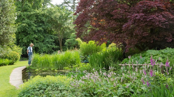 A visitor looks at the pond in the garden at Chirk Castle